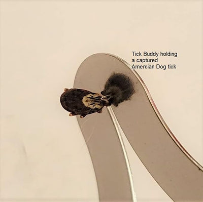 Tick Buddy (Six Pack) Stainless Steel Tick Removal Tool for Dogs Cats Pets and People