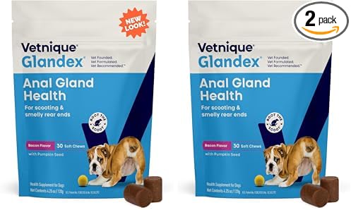 Vetnique Glandex Anal Gland Soft Chew Treats with Pumpkin for Dogs Digestive Enzymes, Probiotics Fiber Supplement for Dogs Boot The Scoot (Bacon Flavor Chews, 30 Count) (Pack of 2)