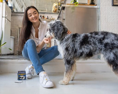 SnoreStop for Pets 20 Chewable Tablets Natural Anti-Snoring Solution Snore Relief for Dogs Cats Stop Snoring Aid Sleep Remedy Device Free Helps Stop Snores Anti-Snore Pills