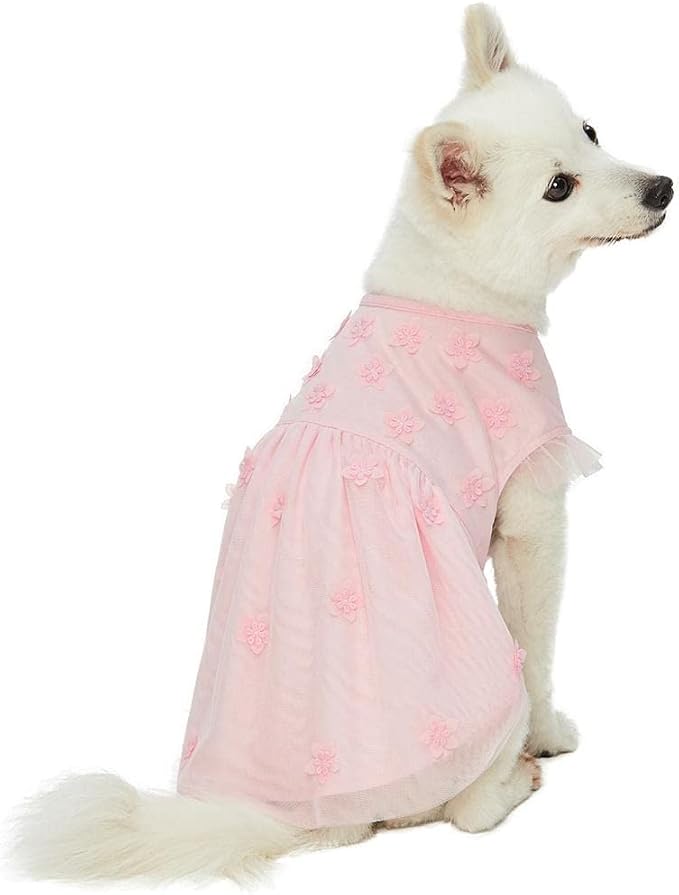 Blueberry Pet My Little Princess Dog Tulle Dress in Baby Pink with Dainty Flower, Back Length 12", Pack of 1 Clothes for Dogs