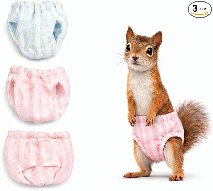 3Pcs Washable Squirrel Diapers Reusable (Size M, 6" - 9" Waist) | Soft & Comfortable, Adjustable, Highly Absorbent and Leak-Proof, Small Pet Diapers for Guinea Pig, Ferrets, Young Chinchillas