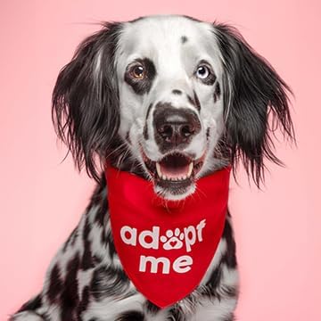Adopt Me Dog Bandana | 100% Cotton | Made in USA | Adoption Event Prop Photoshoot | Rescue | Puppy | New Dog | Red, One Size (326) GB
