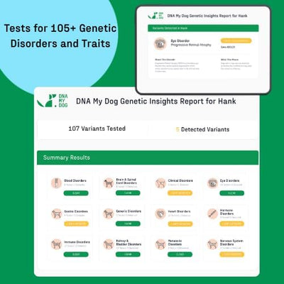 DNA MY DOG - Essential + Health Dog DNA Test Kit | 350+ Breeds Identified | 99%+ Accuracy | 105+ Health & Trait Results | Allergy Risk Score | Personality & Behavior Insights | Results in 2-3 Weeks