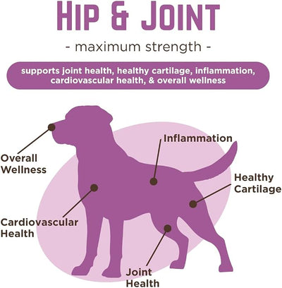 Dr. Joseph's VetPro Complete Dog Hip & Joint Wellness Supplement – High-Strength Glucosamine, MSM, Omega & Chondroitin Chews and Breeds – Vet Formulated Chicken Dog Treat - 120 Count