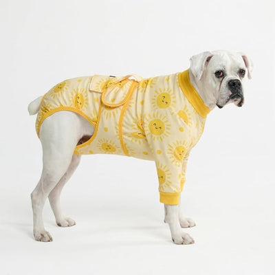 Spark Paws Dog Surgery Recovery Suit – Dog Recovery Suit After Surgery, Anti-Lick Dog Onesie, Abdominal Wound Protector, Soft Cone Alternative for Spay Neuter Male Female Pet Recovery - Sunshine - 3XL