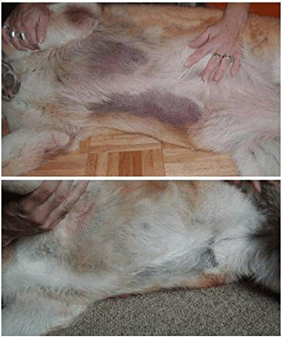 Davis TheraCoat for Pets