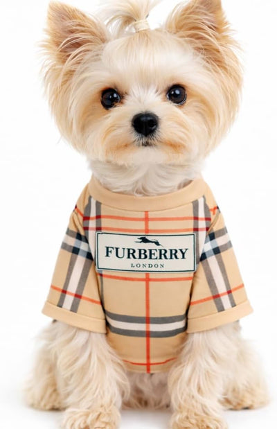 Luxury Designer Dog T Shirt – Trendy Puppy Clothes for Small Dogs, Fashion Pet Tee for French Bulldogs & Chihuahuas, Everything Chic Dog Apparel (FurberryTee, Small)