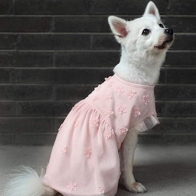Blueberry Pet My Little Princess Dog Tulle Dress in Baby Pink with Dainty Flower, Back Length 12", Pack of 1 Clothes for Dogs