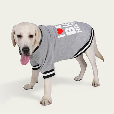 Cute Dog Sweater - Stretchy Dog Pullover Sweatshirt,Soft and Warm Winter Clothes for Boy & Girl Dogs,Suitable for Puppies & Adult Dogs (Light Grey (House), X-Small)