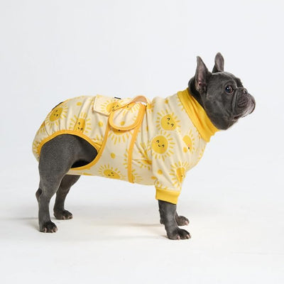 Spark Paws Dog Surgery Recovery Suit – Dog Recovery Suit After Surgery, Anti-Lick Dog Onesie, Abdominal Wound Protector, Soft Cone Alternative for Spay Neuter Male Female Pet Recovery - Sunshine - XL
