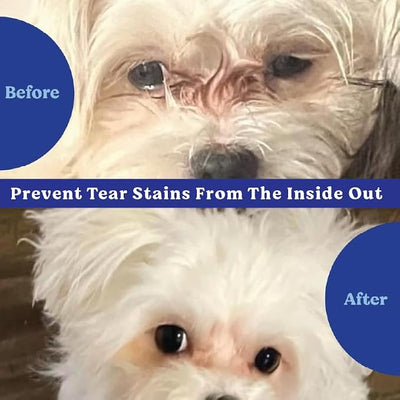 Angels' Eyes Natural Tear Stain Prevention Soft Chews for Dogs | Beef Flavor | 90 Count | Daily Supplement for All Breeds | No Wheat or Corn | Eyebright, Cranberry & Curcumin | NASC Quality
