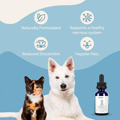 PranaPets Nervous System Support for Dogs and Cats | Herbal Formula Safely Aids in Reducing Nervousness, Involuntary Muscle Movements | Helps Support Brain & Nervous System - 2 Pack