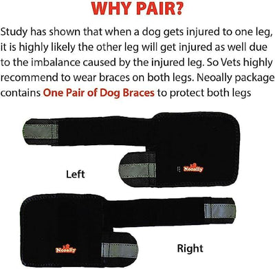 NeoAlly - Front Leg Brace for Dogs and Cats, Dog Leg Brace for Improved Pet Mobility, Dog Leg Sleeve for Carpal Support, Dog Leg Sleeve with Reflective Straps, XXS to XS, Black, 1 Pair