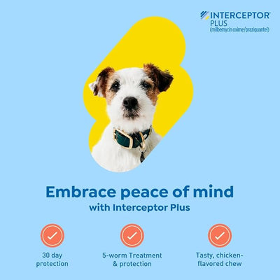 Interceptor Plus Prevention for Heartworm + 4 Other Worms for Dogs 8.1-25 lbs. | 6 Chews, 6-Month Supply