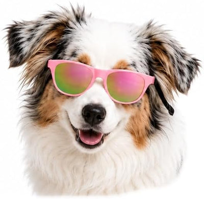 G006 Dog Pet Retro 80s Costume Sunglasses for Small Breed (2-Pack Black+Pink-Pink Mirror)