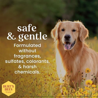 Burt's Bees for Pets Itch Soothing Dog Shampoo with Honeysuckle, 95% Natural Origin, pH Balanced, No Sulfates, Parabens, or Phthalates, Relieves Itchy Skin, 32 Fl Oz - 2 Pack
