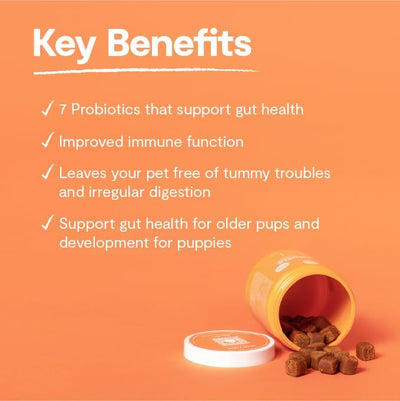 Open Farm Probiotic Chews, Dog Supplement, Dog Vitamins, Supports Normal Flora and Bowel Movement Using Traceable and Vet-Approved Ingredients, 12.7 oz, 90 Count