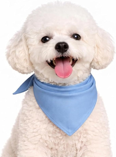 Petitebella Single Color Pet Bandana (Blue, Large)