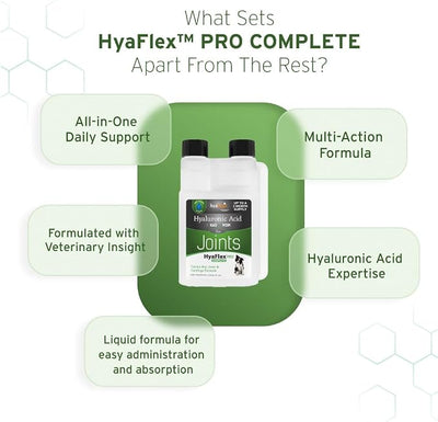 Hyalogic HyaFlex PRO – Hyaluronic Acid Joint Supplement for Dogs – Glucosamine & MSM Hip & Joint Support – for Dog Joints – 30-60 Day Supply - 240ml