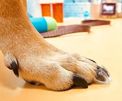 TAKTIKAL Dr. McHenry's Dog Toe Treads, Set of 24, Adhesive, Cleaning Brush, Increased Traction, Mobility Support, Medium Kit- Weight: 16-40 lbs. Net Weight 1.6 oz.