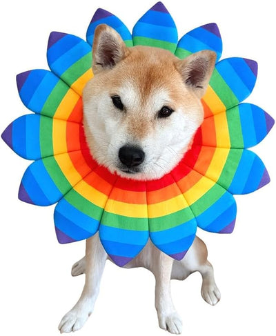 CheetahBoo Flower Rainbow Dog Flower Costume Dogs XS XXL Pride Bandana Collar Birthday Gay Halloween Costumes, M