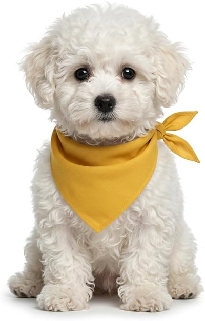 Petitebella Single Color Pet Bandana (Yellow, Small)