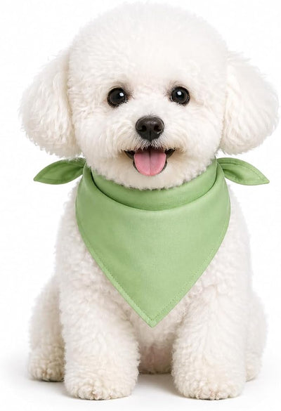 Petitebella Single Color Pet Bandana (Green, Medium)