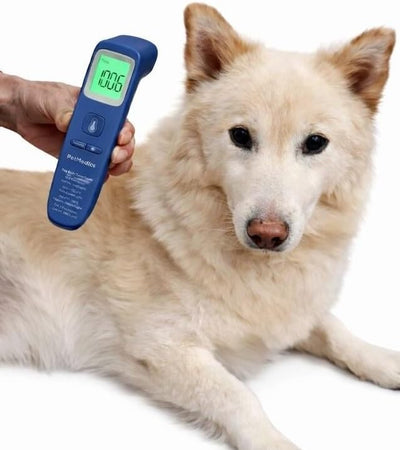 PetMedics by iHome Cat & Dog Thermometer for Pets Ear or Belly No Contact Scan - Large Number Digital Lit Display - Batteries Included - Canine and Pet Fever Detection