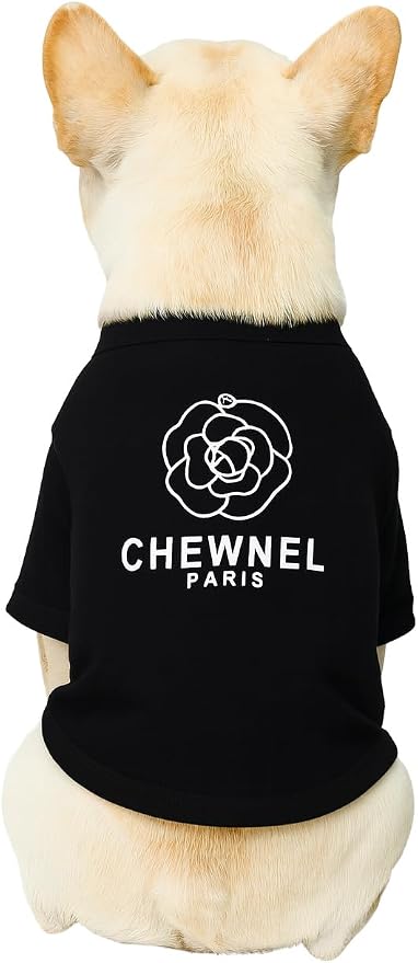 Luxury Designer Dog T Shirt – Trendy Puppy Clothes for Small Dogs, Fashion Pet Tee for French Bulldogs & Chihuahuas, Everything Chic Dog Apparel