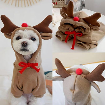 Warm Dog Winter Clothes Cute Fruit Dog Coat Hoodies Fleece Pet Dogs Costume Jacket for French Bulldog Chihuahua Ropa para Perro(Coffee,S)