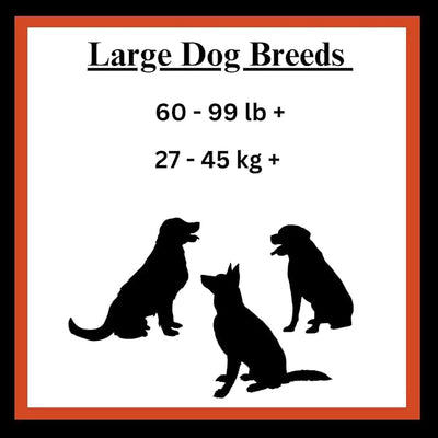 Large Stuffed Femur Bone with 1 Waste Bag Roll, (Peanut Butter)