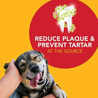 Petrodex Dental Care Kit for Dogs and Puppies, Cleans Teeth and Fights Bad Breath, Reduces Plaque and Tartar Formation, Enzymatic Tooth Brushing Kit, Poultry Flavor, 2.5oz Toothpaste + Toothbrush
