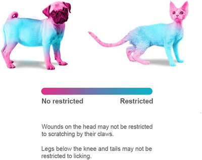 Pet Adjustable Recovery Collar - Recovery Protective Pet Cone Wound Healing Protective Soft Edge for Pets/Kitten/Cats/Small Dogs