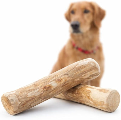 Coffee Wood Dog Chew - Natural Stick for Moderate Chewers, Safe Alternative to Nylon & Plastic, Large