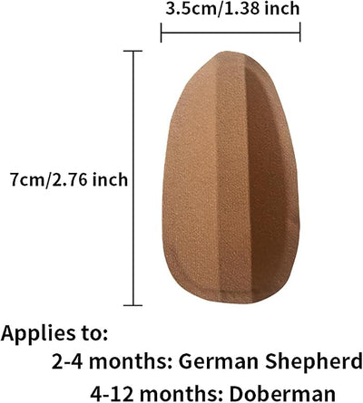 Dog Ear Stand Sticker Up Support Tool, Dog Ear Fixed Correction Vertical Holder for Doberman. (1.38 * 2.76inch)