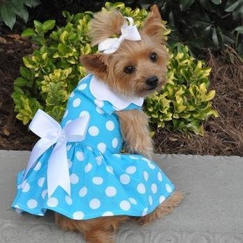Blue Polka Dot Dress with Leash and D Ring (Small)