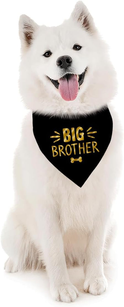 Big Brother Dog Bandana, Black Gold Pet Dog Scarf Accessories, Pregnancy Announcement Big Brother Baby Reveal, Pet Dogs Triangle Scarf, Dogs Bandana for Small Medium