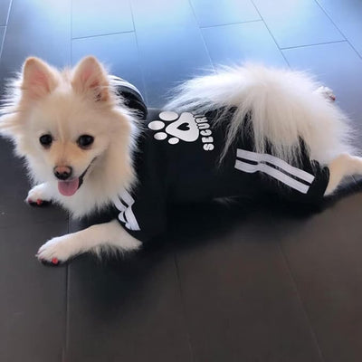 Dog Hoodie Security Clothes 4 Legs Jumpsuit Sweatshirt Hoodies Soft & Warm Dog Outfit Pullover Dog Winter Clothes Sweater for Small Medium Large Dogs Cats (Black, XX-Large)