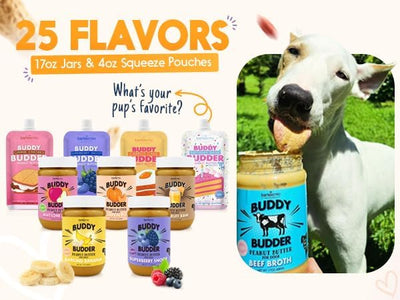 BUDDY BUDDER Bow-Wow Blueberry (probiotic + prebiotic), 100% Natural Dog Peanut Butter, Healthy Peanut Butter Dog Supplement, Made in USA (17oz Jar)