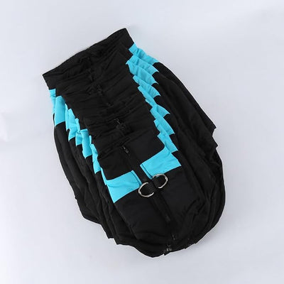 Winter Waterproof Windproof Dog Jacket - Warm Vest Coat for Small & Medium Dogs - Not Suitable for Big Dogs C-Blue XX-Small