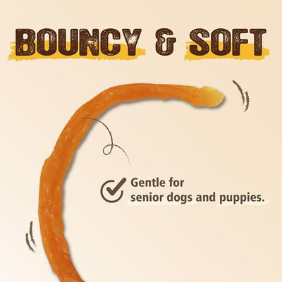 Gootoe Soft Turkey Tendon Strip with Pumpkin 3oz, Chewy Snack, USA-Sourced Turkey Tendon, Premium Training Chews, Hypoallergenic, Ideal for Small & Senior Dogs