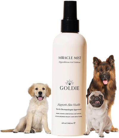 Goldie Dog Essentials Miracle Mist Hypochlorous Acid Spray for Dogs | Hot Spots | Paw Licking | Itchy Skin | Minor Wounds | Odor Support | Lick Safe | Fragrance Free | Alcohol Free