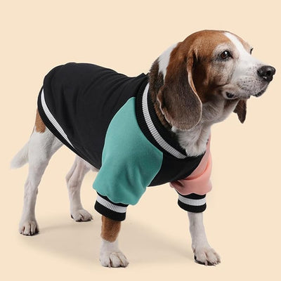 Cute Dog Sweater - Stretchy Dog Pullover Sweatshirt,Soft and Warm Winter Clothes for Boy & Girl Dogs,Suitable for Puppies & Adult Dogs (Black+Blue+Orange, Large/X-Large)