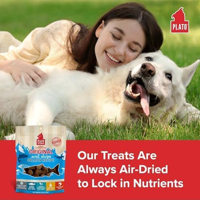PLATO Pet Treats Real Strips - Air-Dried Meat Bars for Dogs - Delicious, Limited Ingredient Dog Treats - Grain Free Dog Treats - Original Real Strips Salmon 18oz - 2 Pack