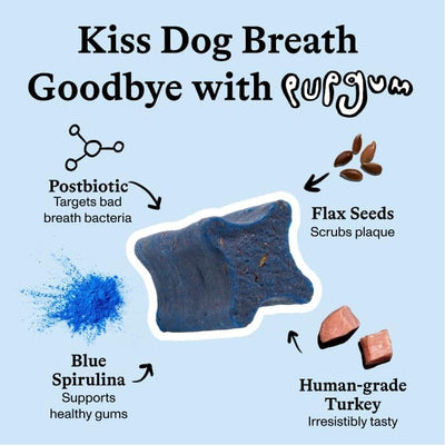 Spot & Tango PupGum Dog Dental Chews for Fresh Breath & Clean Teeth – Clinically Proven Ingredients – Human-Grade, Vet-Developed Daily Dental Treats for Dogs 41+lbs – 7 Chews – Made in USA