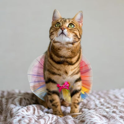 Threetols Gay Pride Dog & Cat Costume - Rainbow Princess Dress & Tutu for Small & Medium Pets, Multicolor Pet Collar for Dog & Cat Birthday Party Accessories(M)