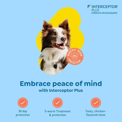 Interceptor Plus Prevention for Heartworm + 4 Other Worms for Dogs 25.1-50 lbs. | 1 Chew, 1-Month Supply