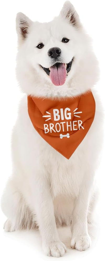 Big Brother Dog Bandana, Orange Pet Dog Scarf Accessories, Pregnancy Announcement Big Brother Baby Reveal, Pet Dogs Triangle Scarf, Dogs Bandana for Small Medium