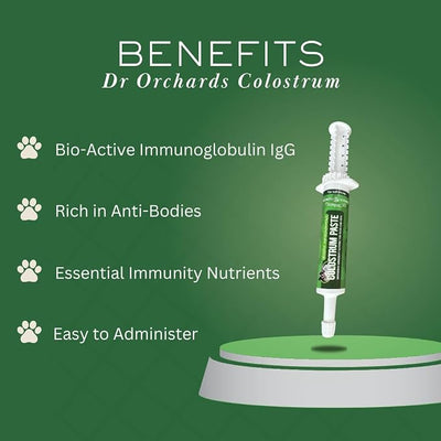 Dr. Orchard's Colostrum Paste, Immune Support Supplement for Puppies and Kittens, Bio-Active IgG Formula, 30g
