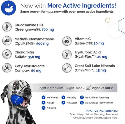 TopDog Health GlycanAid HA Advanced Joint Nutrition for Dogs (60 Chewable Tablets) Made in USA with USA Ingredients: Glucosamine HCL, Chondroitin, Hyaluronic Acid, MSM